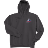 CT Wolfpack South Super Heavyweight Fleece Hoodie